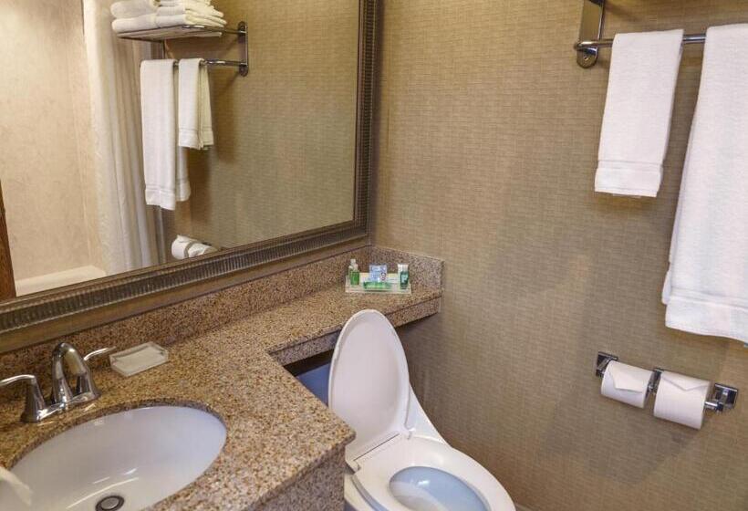 Quarto Estandar para Deficientes Físicos, Holiday Inn New Orleans Downtown Superdome, An Ihg