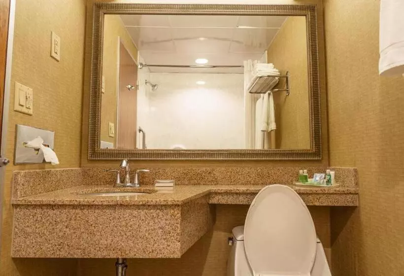 身障者適用スタンダードルーム, Holiday Inn New Orleans Downtown Superdome, An Ihg