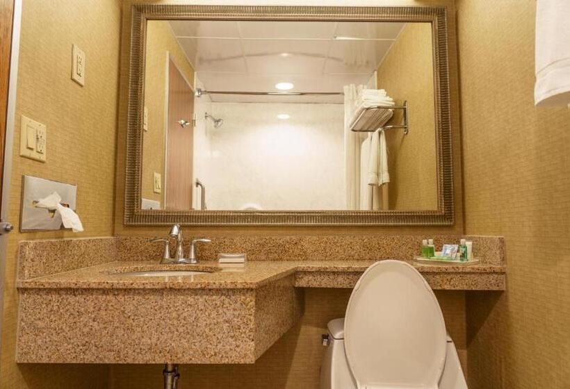 장애인을 위한 킹사이즈 침대 스탠다드 룸, Holiday Inn New Orleans Downtown Superdome, An Ihg