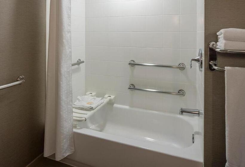 장애인을 위한 킹사이즈 침대 스탠다드 룸, Holiday Inn New Orleans Downtown Superdome, An Ihg