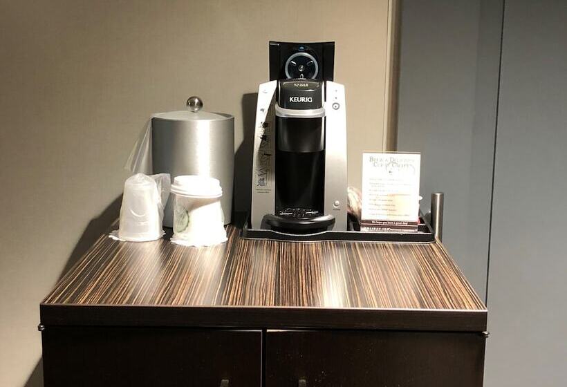 Quarto Estandar, Holiday Inn New Orleans Downtown Superdome, An Ihg