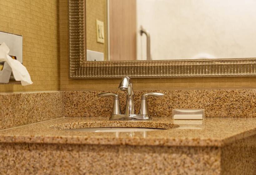 Quarto Estandar para Deficientes Físicos, Holiday Inn New Orleans Downtown Superdome, An Ihg