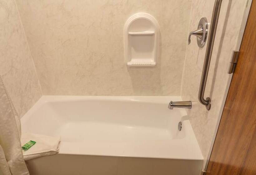 장애인을 위한 스탠다드 룸, Holiday Inn New Orleans Downtown Superdome, An Ihg