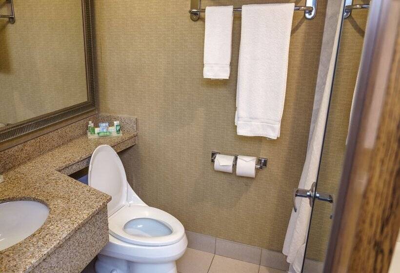 Quarto Estandar para Deficientes Físicos, Holiday Inn New Orleans Downtown Superdome, An Ihg