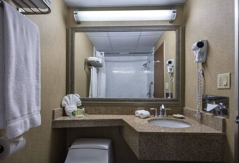 Quarto Estandar para Deficientes Físicos, Holiday Inn New Orleans Downtown Superdome, An Ihg