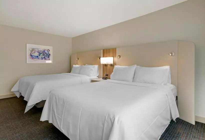 スタンダードルーム, Delta Hotels By Marriott West Palm Beach