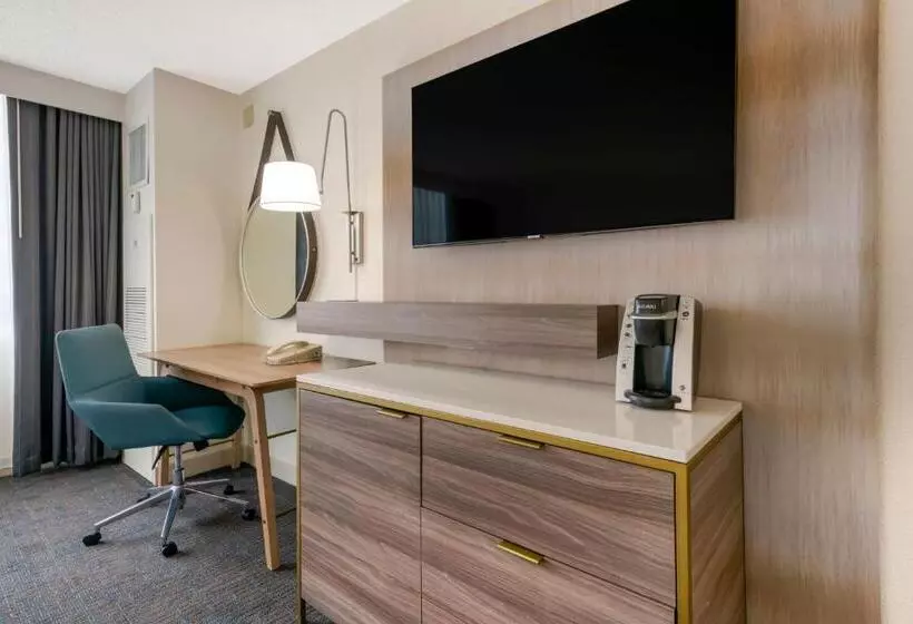 スタンダードルーム, Delta Hotels By Marriott West Palm Beach