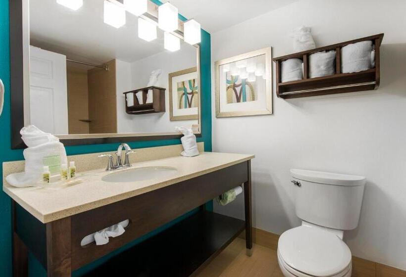 غرفة قياسية, Delta Hotels By Marriott West Palm Beach