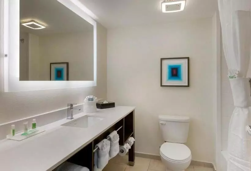 キングサイズベッドのスタンダードルーム, Delta Hotels By Marriott West Palm Beach