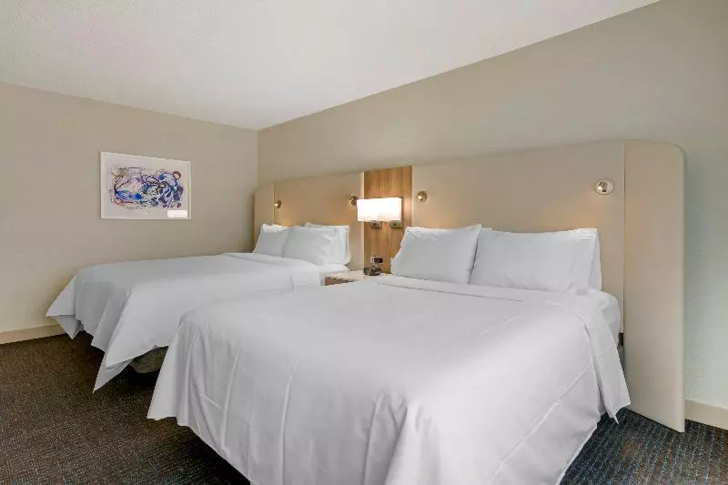 スタンダードルーム, Delta Hotels By Marriott West Palm Beach