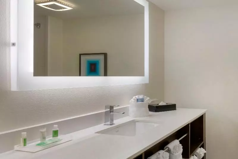 キングサイズベッドのスタンダードルーム, Delta Hotels By Marriott West Palm Beach