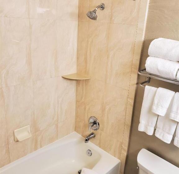 身障者適用キングサイズベッドルーム, Holiday Inn West Covina, An Ihg