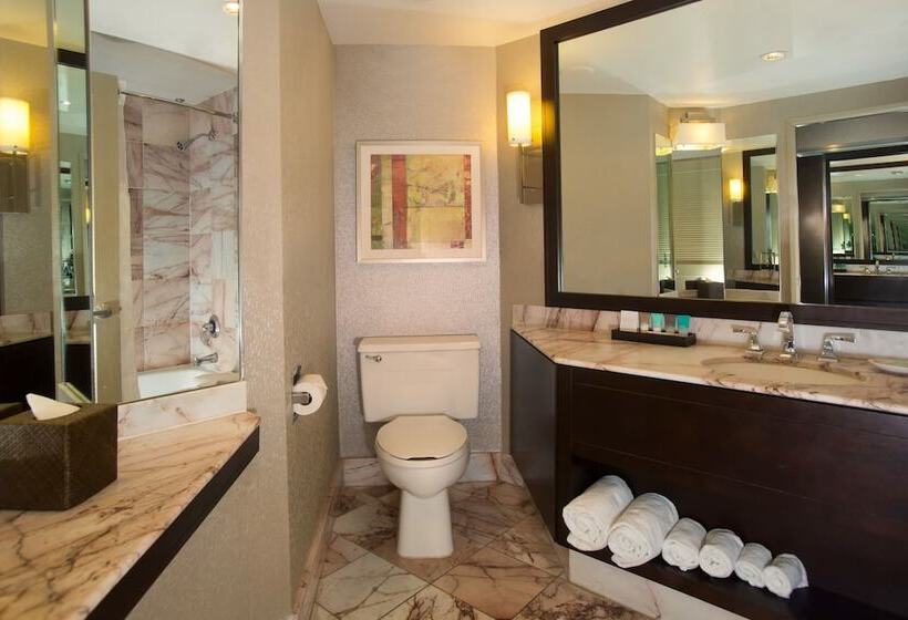 جناح مطلّ علي الجبل, Hyatt Palm Springs