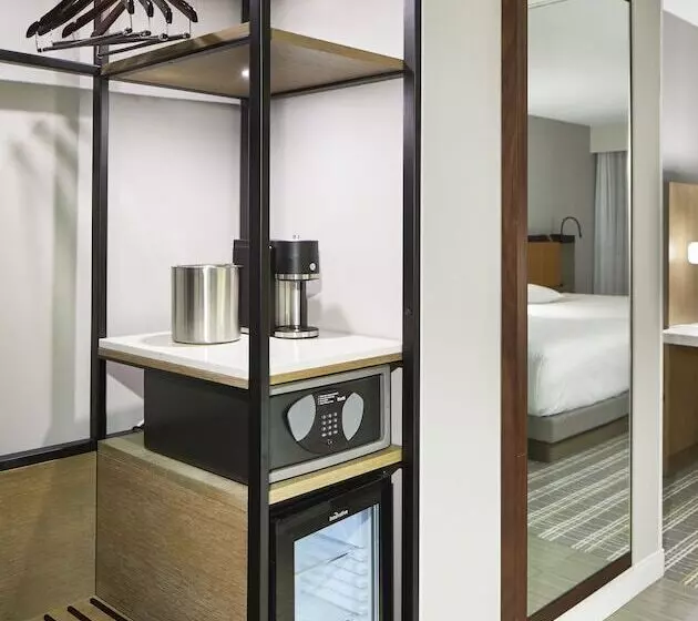 اتاق استاندارد با 2 تخت دوبل, Hyatt Regency Atlanta