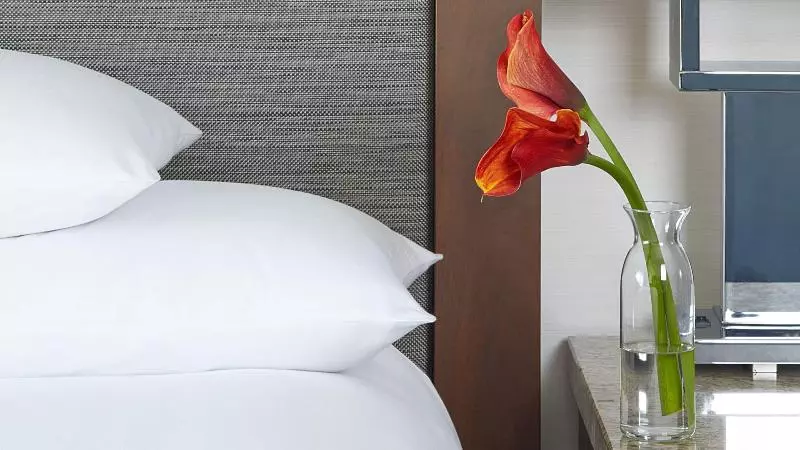 اتاق استاندارد با تخت بزرگ, Hyatt Regency Atlanta
