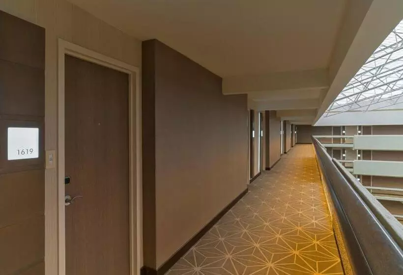 スタンダードルーム, Hyatt Regency Austin