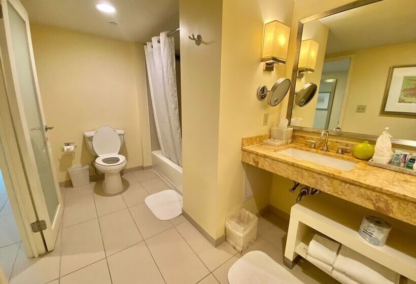 جناح, Hyatt Regency Sarasota