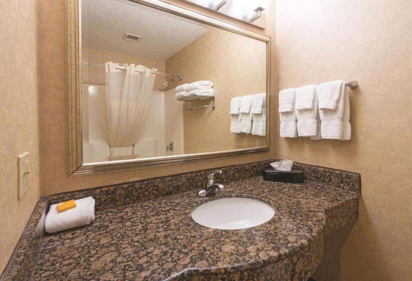 غرفة قياسية سرير كينج, La Quinta Inn By Wyndham Buffalo Airport