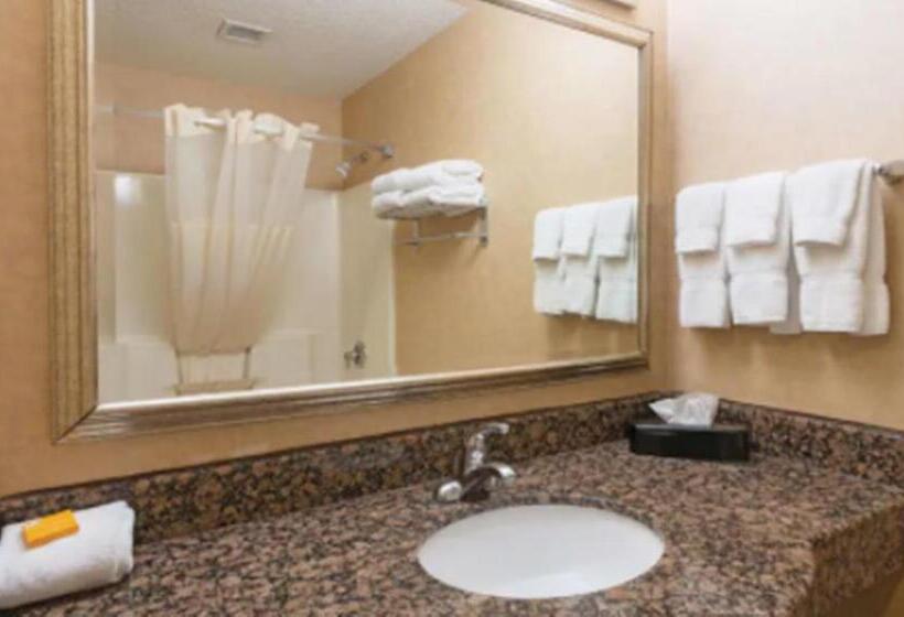 غرفة قياسية, La Quinta Inn By Wyndham Buffalo Airport