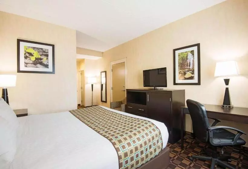 身障者適用キングサイズベッドルーム, La Quinta Inn By Wyndham Buffalo Airport