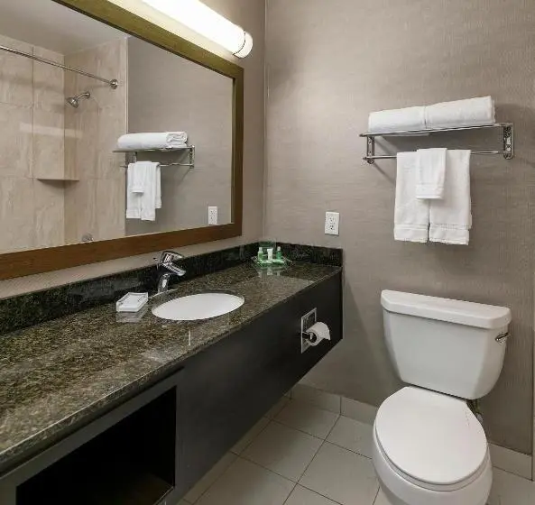 キングサイズベッドのスタンダードルーム, Holiday Inn West Covina, An Ihg