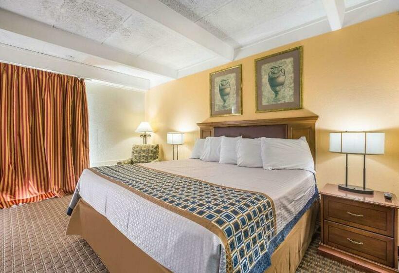 带大床的标准间, Super 8 By Wyndham Macon Ga