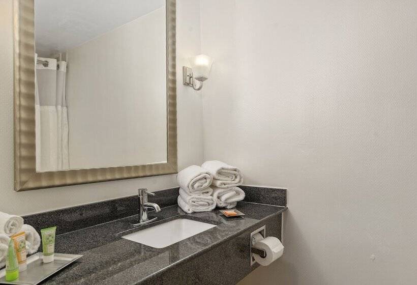 Номер Стандарт 2 Двуспальные Кровати, Wyndham Garden Norfolk Downtown