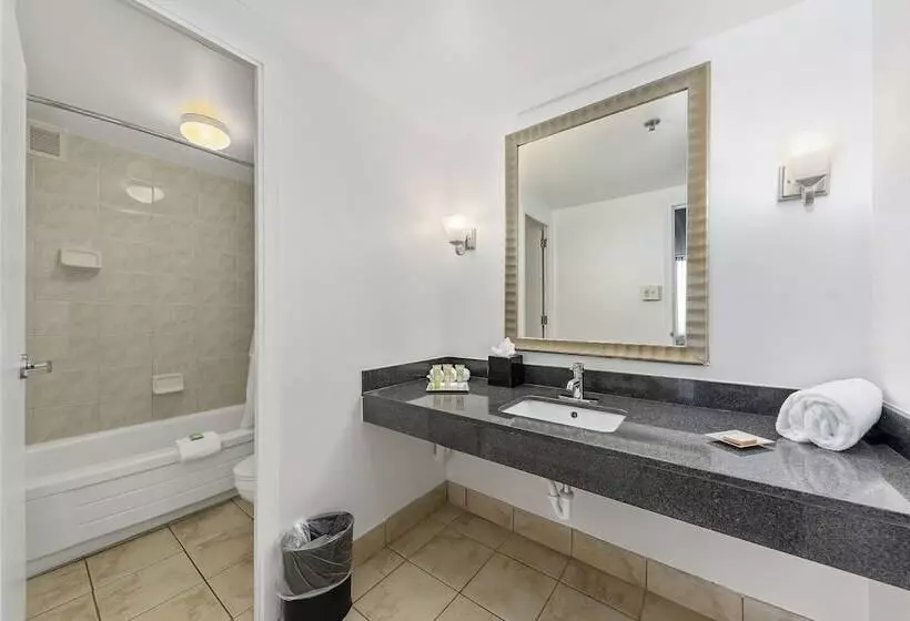 سوییت اجرایی, Wyndham Garden Norfolk Downtown