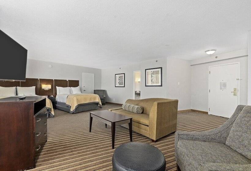 エクゼクティブスイート, Wyndham Garden Norfolk Downtown