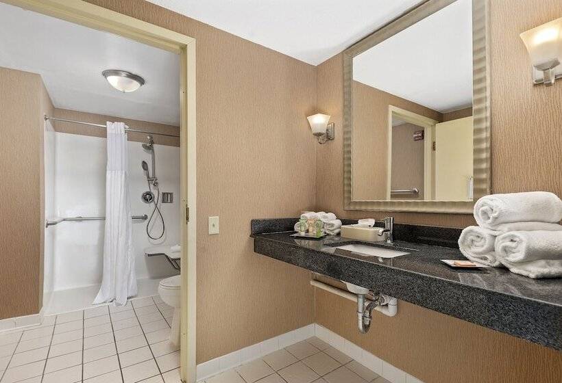 キングサイズベッドのデラックスルーム, Wyndham Garden Norfolk Downtown