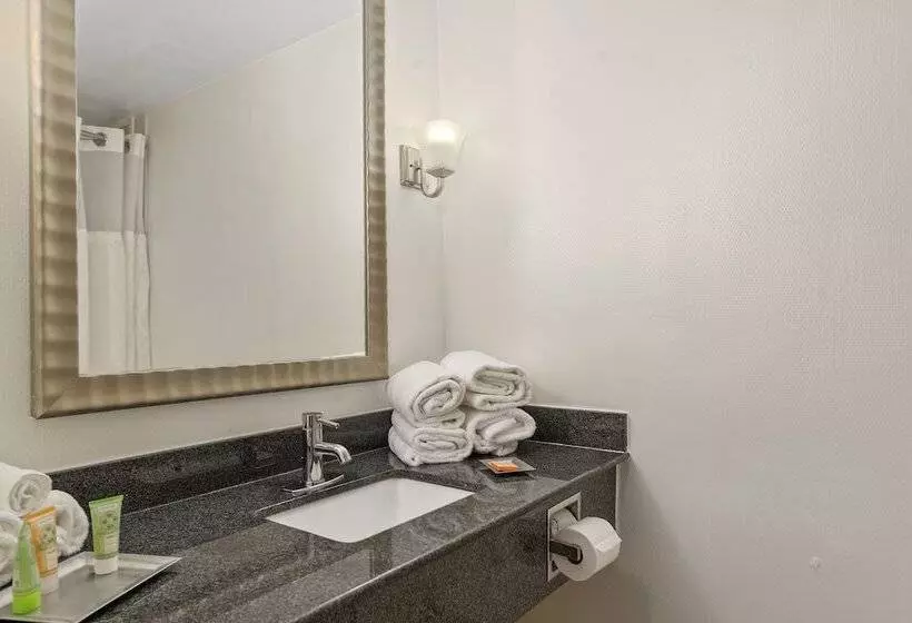 اتاق لوکس با تخت بزرگ, Wyndham Garden Norfolk Downtown