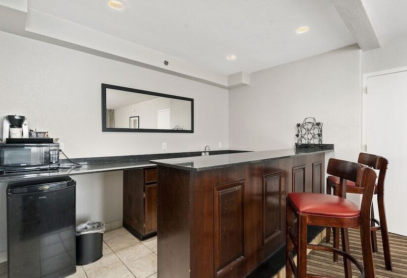 キングサイズベッドのデラックスルーム, Wyndham Garden Norfolk Downtown