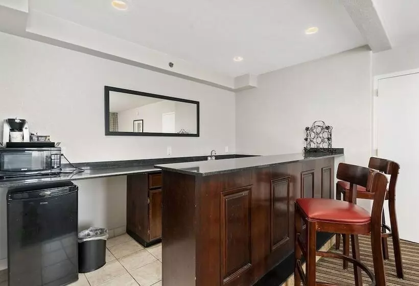 اتاق لوکس با تخت بزرگ, Wyndham Garden Norfolk Downtown