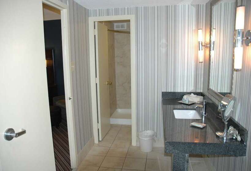 キングサイズベッドのデラックスルーム, Wyndham Garden Norfolk Downtown