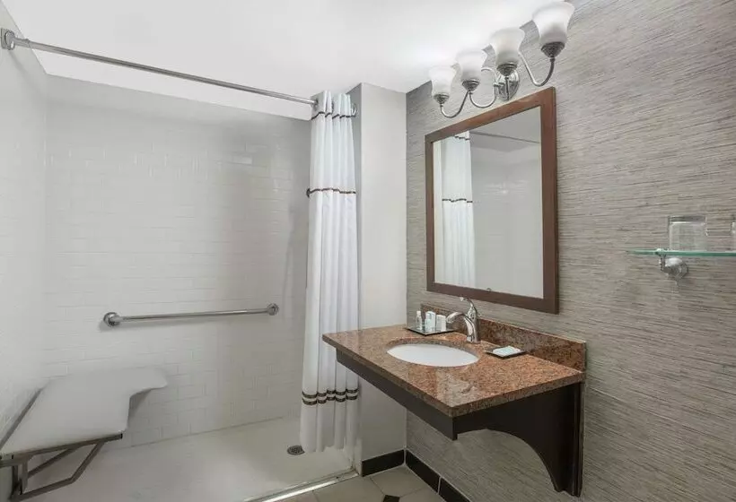 Deluxe-huone Soveltuu Liikuntarajoitteisille, Wyndham Philadelphia Historic District
