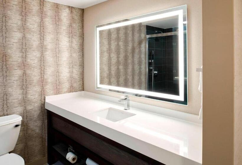 اتاق استاندارد با تخت بزرگ, Chattanooga Marriott Downtown