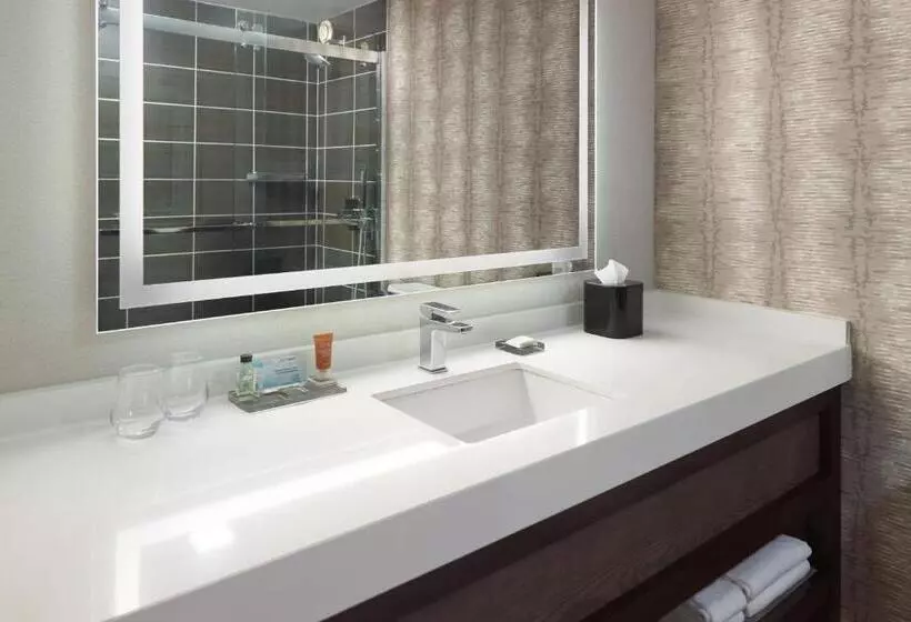 身障者適用キングサイズベッドルーム, Chattanooga Marriott Downtown