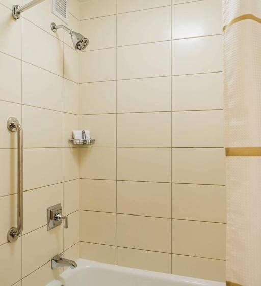 اتاق استاندارد با تخت بزرگ برای معلولان, Chicago Marriott Oak Brook