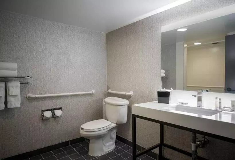 اتاق استاندارد با تخت بزرگ, Chicago Marriott Schaumburg