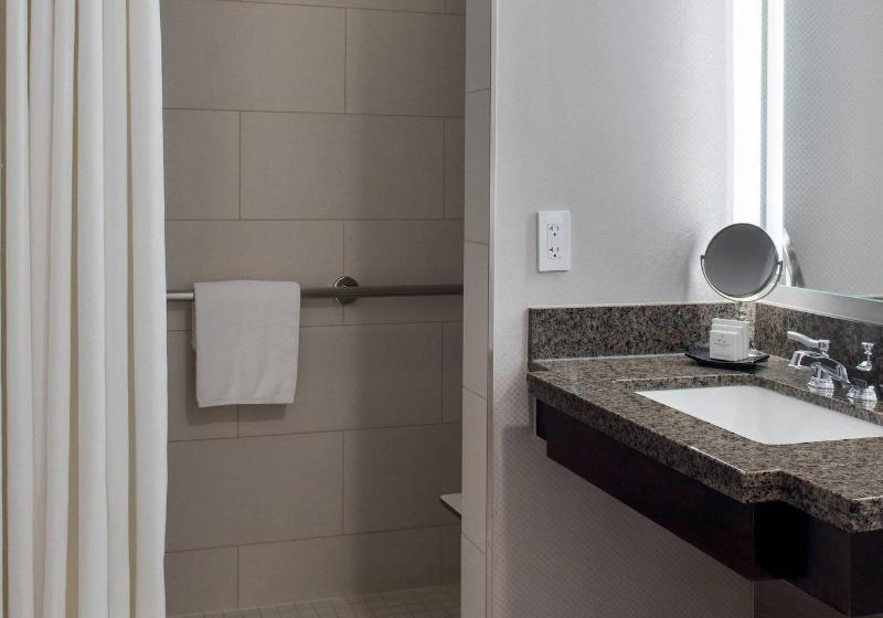 장애인을 위한 킹사이즈 침대 스탠다드 룸, Jw Marriott Washington, Dc