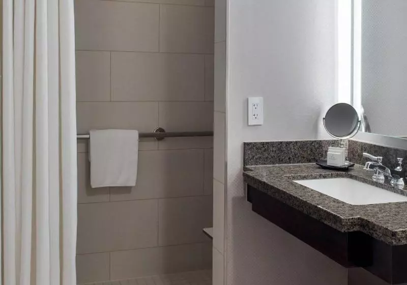 اتاق استاندارد با تخت بزرگ برای معلولان, Jw Marriott Washington, Dc