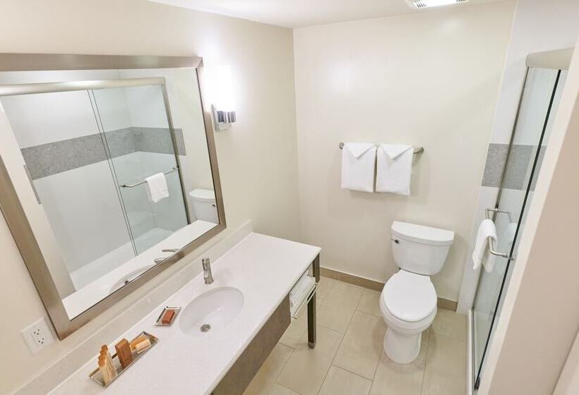 غرفة قياسية سرير مزدوج, La Cuesta Inn