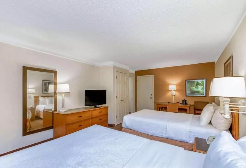 ２ダブルベッドのスタンダードルーム, La Quinta Inn By Wyndham San Antonio I35 N At Rittiman Rd