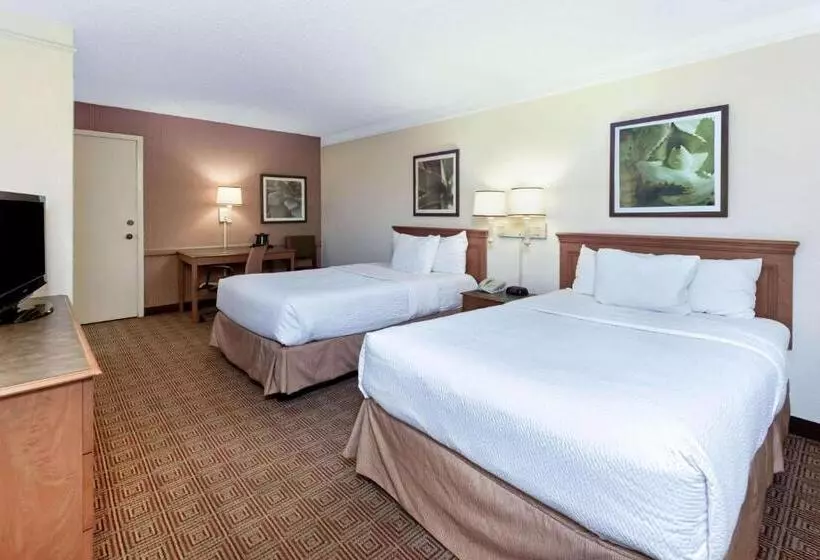 ２ダブルベッドのスタンダードルーム, La Quinta Inn By Wyndham San Antonio I35 N At Rittiman Rd