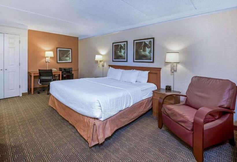 Deluxe Room King Size Bed, La Quinta Inn By Wyndham San Antonio I35 N At Rittiman Rd