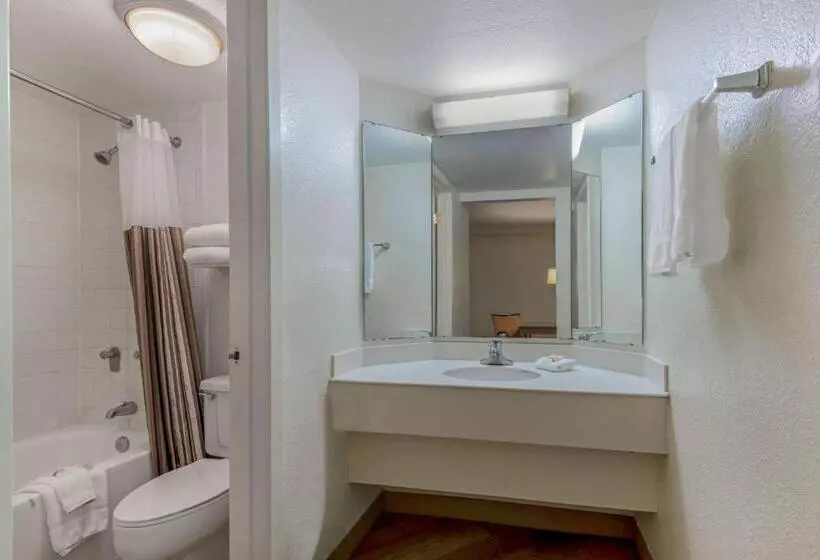 キングサイズベッドのデラックスルーム, La Quinta Inn By Wyndham San Antonio I35 N At Rittiman Rd