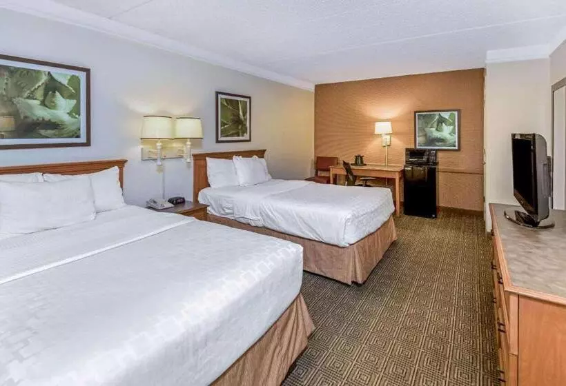 デラックスルーム, La Quinta Inn By Wyndham San Antonio I35 N At Rittiman Rd