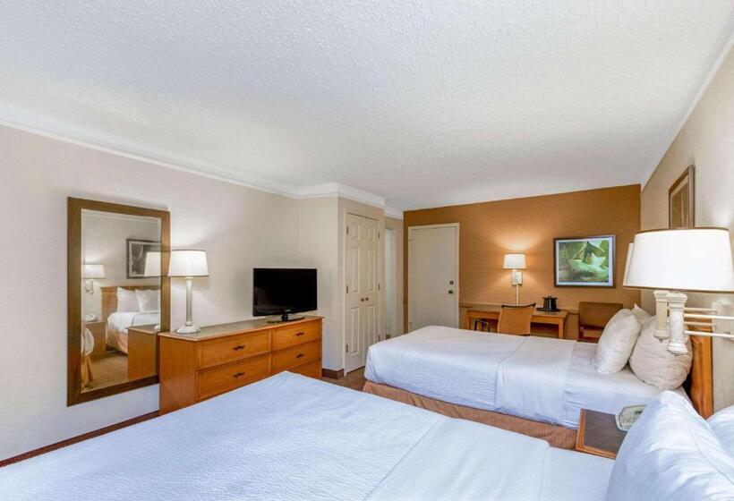 Deluxe Room, La Quinta Inn By Wyndham San Antonio I35 N At Rittiman Rd