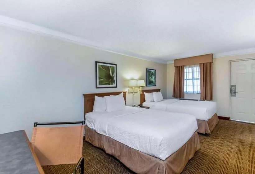 デラックスルーム, La Quinta Inn By Wyndham San Antonio I35 N At Rittiman Rd