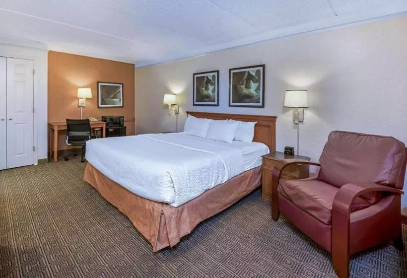 障害者適応デラックスルーム, La Quinta Inn By Wyndham San Antonio I35 N At Rittiman Rd